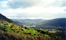 Ireland-Western Ireland-Kerry Way - Escorted Walking Tour
